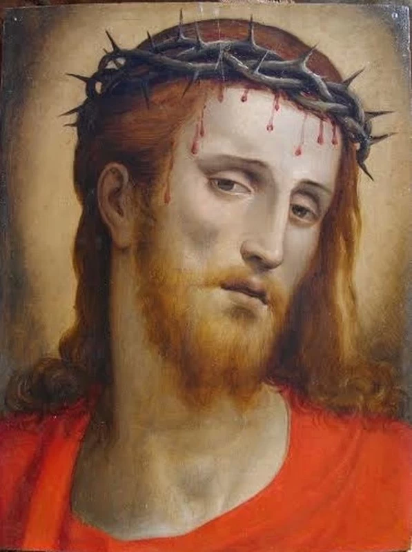 Testa di Cristo incoronata di spine - Siena